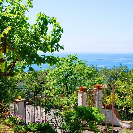 B&B La Casa Del Gelso Acquafredda Bagian luar foto