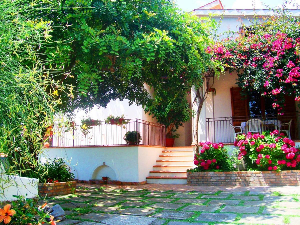 B&B La Casa Del Gelso Acquafredda Bagian luar foto