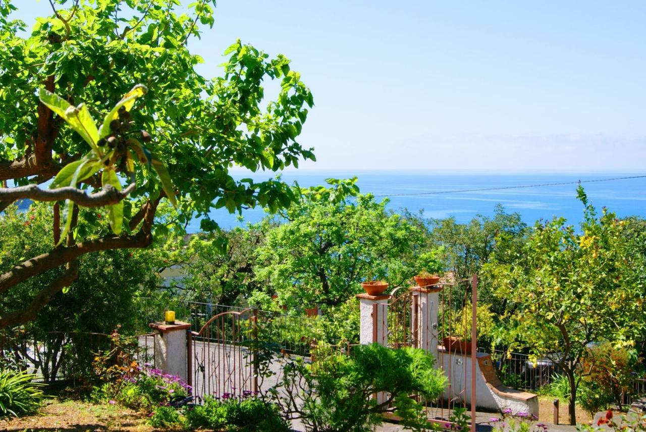 B&B La Casa Del Gelso Acquafredda Bagian luar foto