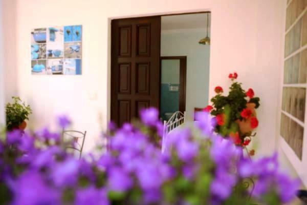 B&B La Casa Del Gelso Acquafredda Bagian luar foto