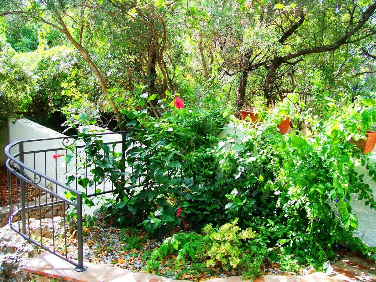 B&B La Casa Del Gelso Acquafredda Bagian luar foto