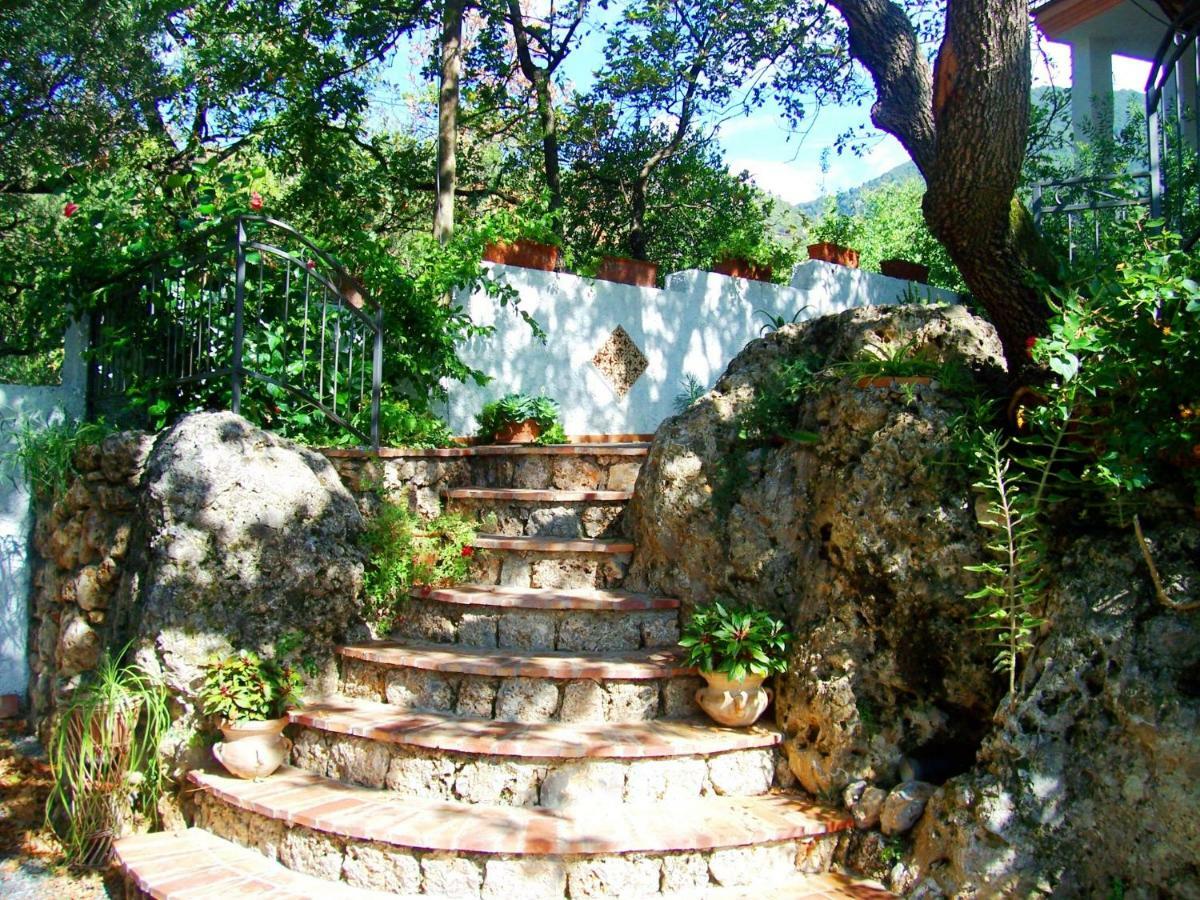 B&B La Casa Del Gelso Acquafredda Bagian luar foto