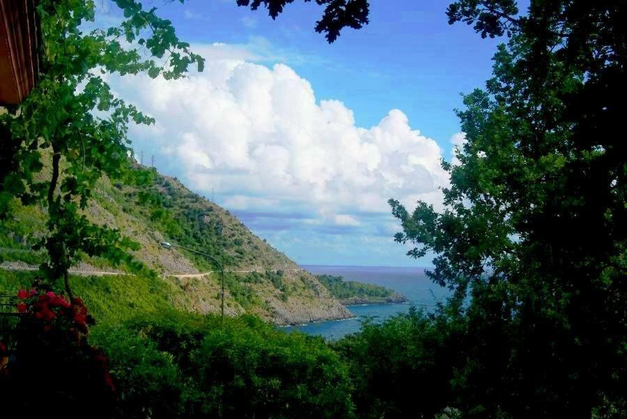 B&B La Casa Del Gelso Acquafredda Bagian luar foto