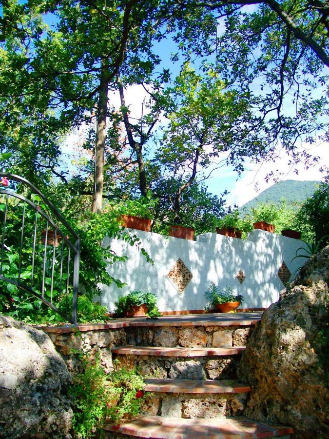 B&B La Casa Del Gelso Acquafredda Bagian luar foto