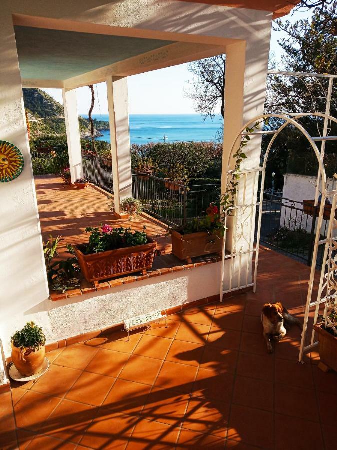B&B La Casa Del Gelso Acquafredda Bagian luar foto