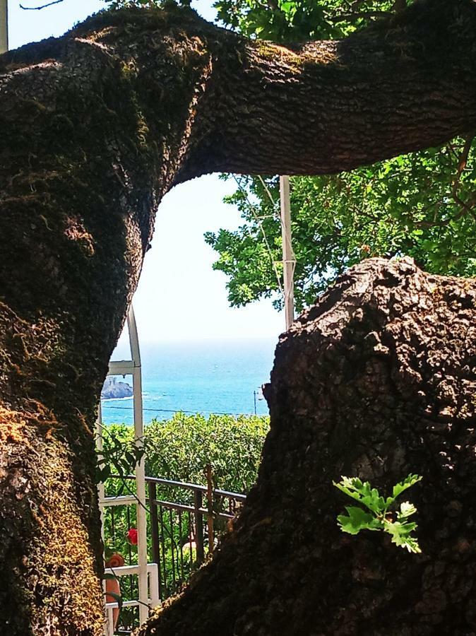 B&B La Casa Del Gelso Acquafredda Bagian luar foto