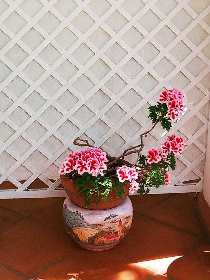 B&B La Casa Del Gelso Acquafredda Bagian luar foto