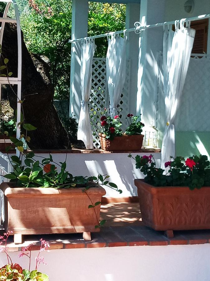 B&B La Casa Del Gelso Acquafredda Bagian luar foto