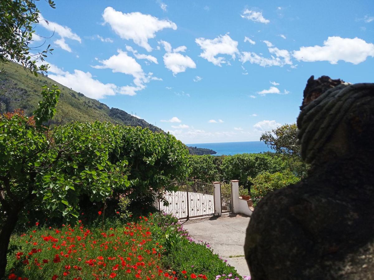 B&B La Casa Del Gelso Acquafredda Bagian luar foto